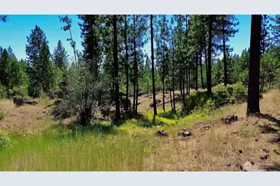 5687 Bb Corkscrew Canyon Road, Tumtum, WA 99034 - Photo 12