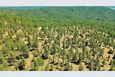 5687 Bb Corkscrew Canyon Road, Tumtum, WA 99034 - Photo 16