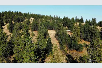 5687 Bb Corkscrew Canyon Road, Tumtum, WA 99034 - Photo 8