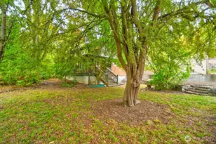 923 Olympia Ave NE, Olympia, WA 98506 - Photo 32