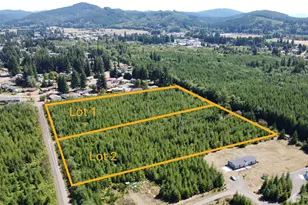 9999 Lot 1 King Johns Way, Forks, WA 98331 - Photo 1