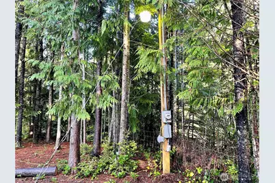 58 Rainbow Lane, Pacific Beach, WA 98571 - Photo 8