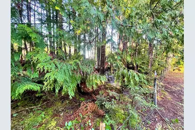 58 Rainbow Lane, Pacific Beach, WA 98571 - Photo 30