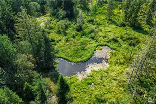 773 Lucas Creek Rd, Chehalis, WA 98532 - Photo 40