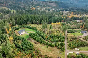 2519 Rose Valley Rd, Kelso, WA 98626 - Photo 40