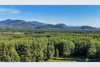 29208 327th Way SE, Ravensdale, WA 98051 - Photo 40