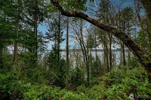 14018 96th Street Ct, Anderson Island, WA 98303 - Photo 6