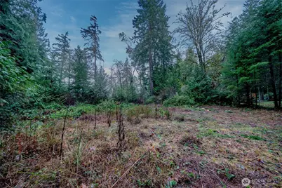 14018 96th Street Ct, Anderson Island, WA 98303 - Photo 12