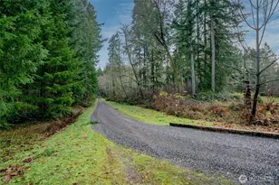 14018 96th Street Ct, Anderson Island, WA 98303 - Photo 8