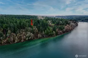 14018 96th Street Ct, Anderson Island, WA 98303 - Photo 2