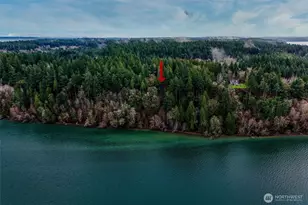 14018 96th Street Ct, Anderson Island, WA 98303 - Photo 4