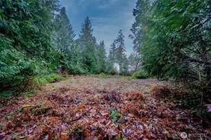 14018 96th Street Ct, Anderson Island, WA 98303 - Photo 10