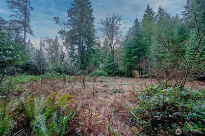 14018 96th Street Ct, Anderson Island, WA 98303 - Photo 14