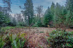 14018 96th Street Ct, Anderson Island, WA 98303 - Photo 14