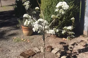 1639 22nd Ave, Longview, WA 98632 - Photo 38