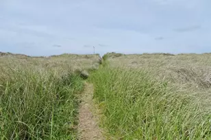 1307 Ocean Shores Blvd SW, Ocean Shores, WA 98569 - Photo 4