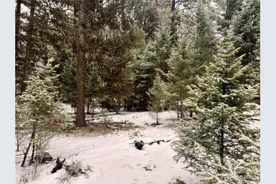 25 Miner's Ridge Road, Oroville, WA 98844 - Photo 20