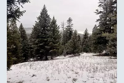 25 Miner's Ridge Road, Oroville, WA 98844 - Photo 4