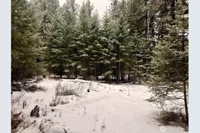 25 Miner's Ridge Road, Oroville, WA 98844 - Photo 6