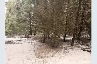 25 Miner's Ridge Road, Oroville, WA 98844 - Photo 16