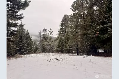 25 Miner's Ridge Road, Oroville, WA 98844 - Photo 2