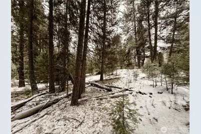 25 Miner's Ridge Road, Oroville, WA 98844 - Photo 8