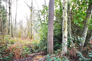 0 SE Cleveland Ave, Port Orchard, WA 98366 - Photo 1