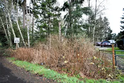 0 SE Cleveland Avenue, Port Orchard, WA 98366 - Photo 2