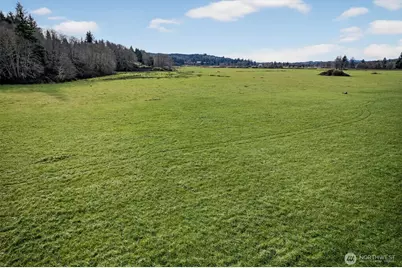 163 Barr Road, Rosburg, WA 98643 - Photo 18