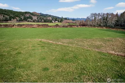 163 Barr Road, Rosburg, WA 98643 - Photo 12