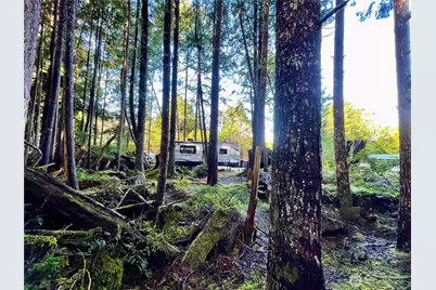 56 Rainbow Lane, Pacific Beach, WA 98571 - Photo 10