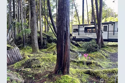 56 Rainbow Lane, Pacific Beach, WA 98571 - Photo 6