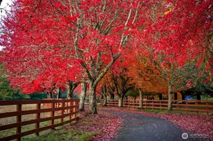 8100 428th Ave SE, Snoqualmie, WA 98065 - Photo 2