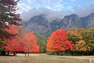 8100 428th Ave SE, Snoqualmie, WA 98065 - Photo 40