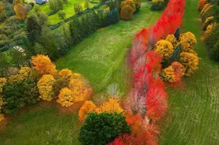 8100 428th Ave SE, Snoqualmie, WA 98065 - Photo 38