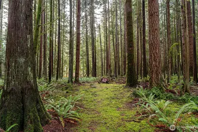 12020 Huckleberry Lane, Arlington, WA 98223 - Photo 8