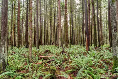 12020 Huckleberry Lane, Arlington, WA 98223 - Photo 16