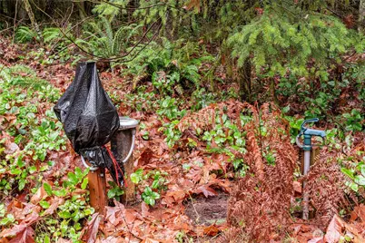 12020 Huckleberry Lane, Arlington, WA 98223 - Photo 6