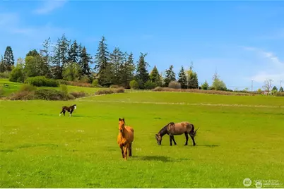 221 Baker View Lane, Camano Island, WA 98282 - Photo 8