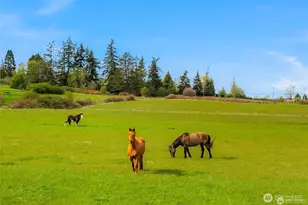 221 Baker View Ln, Camano Island, WA 98282 - Photo 8