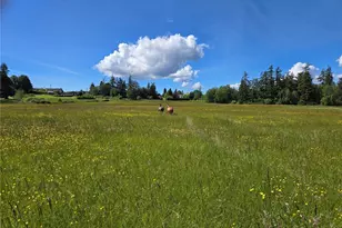 221 Baker View Ln, Camano Island, WA 98282 - Photo 6