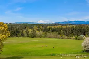 221 Baker View Ln, Camano Island, WA 98282 - Photo 40