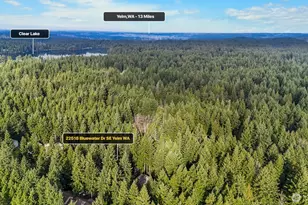 22518 Bluewater Dr SE, Yelm, WA 98597 - Photo 28