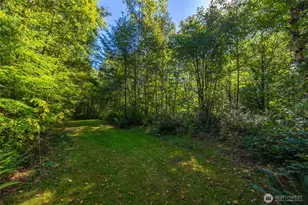 3179 Velvet Ln, Custer, WA 98240 - Photo 36