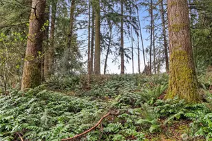 126 Burchett Rd, Onalaska, WA 98570 - Photo 36