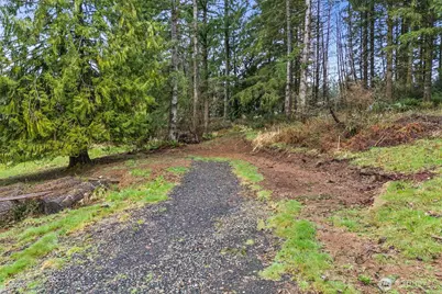 126 Burchett Road, Onalaska, WA 98570 - Photo 38