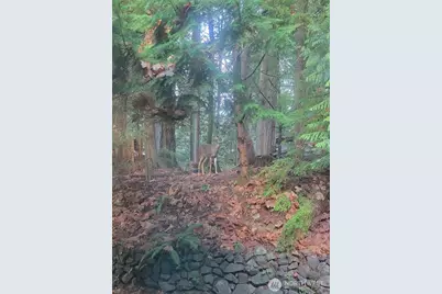 4117 Green Cove Street NW, Olympia, WA 98502 - Photo 38