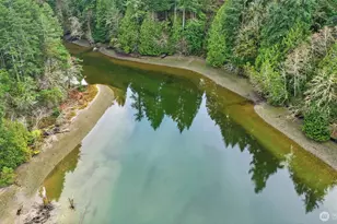 4117 Green Cove St NW, Olympia, WA 98502 - Photo 34