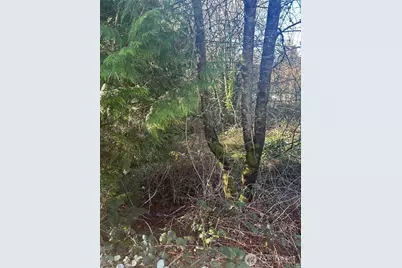0 Sea Vista, Poulsbo, WA 98370 - Photo 4