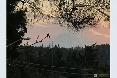 1515 3rd Street, Kirkland, WA 98033 - Photo 36